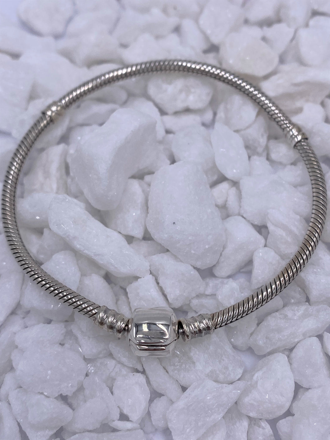 Snake Chain Bracelet